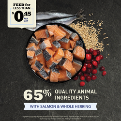 ACANA Indoor Entree Fish Cat Food ACANA USA